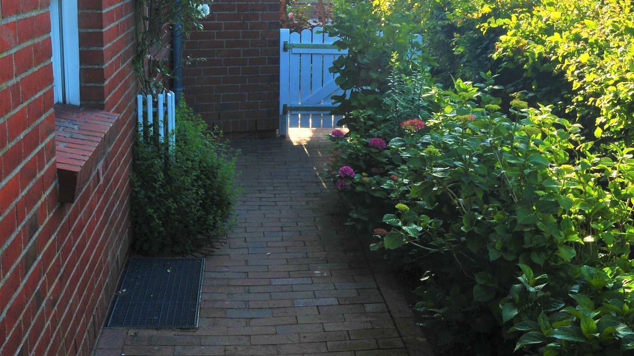 Photo of Outdoor in Loose