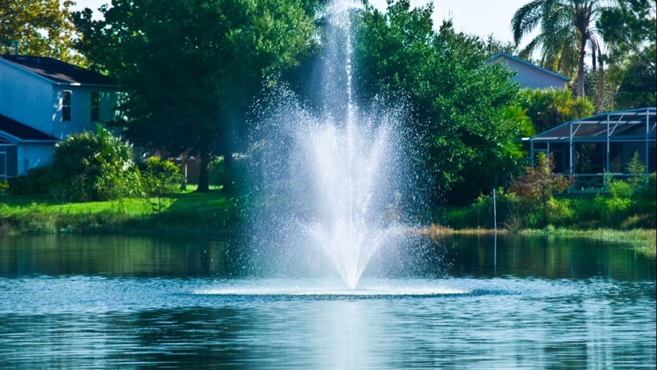 Photo of Outdoor in West Kissimmee