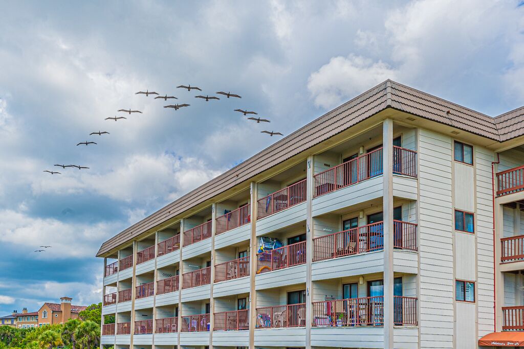 Photo of Outdoor in Folly Field