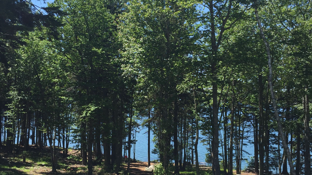 Photo of Others in Hancock Point
