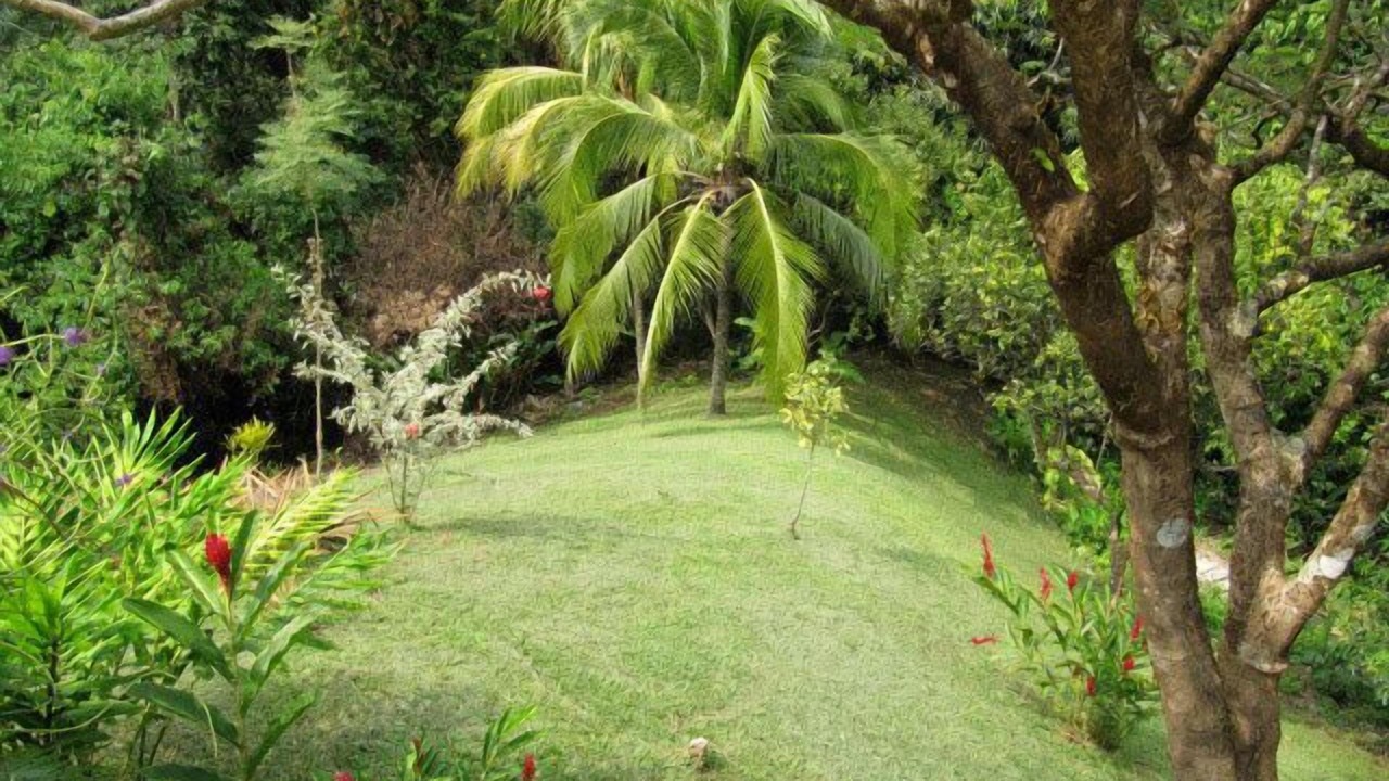 Photo of Others in Manuel Antonio