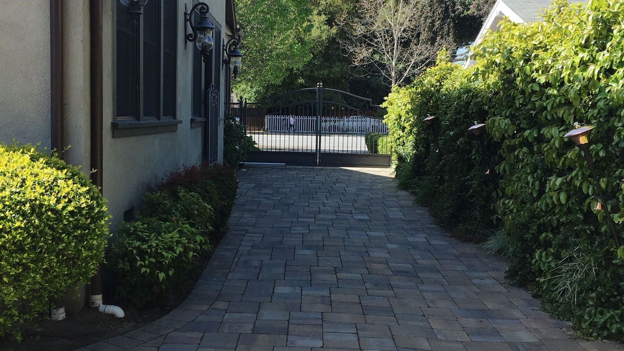 Photo of Others in Willow Glen