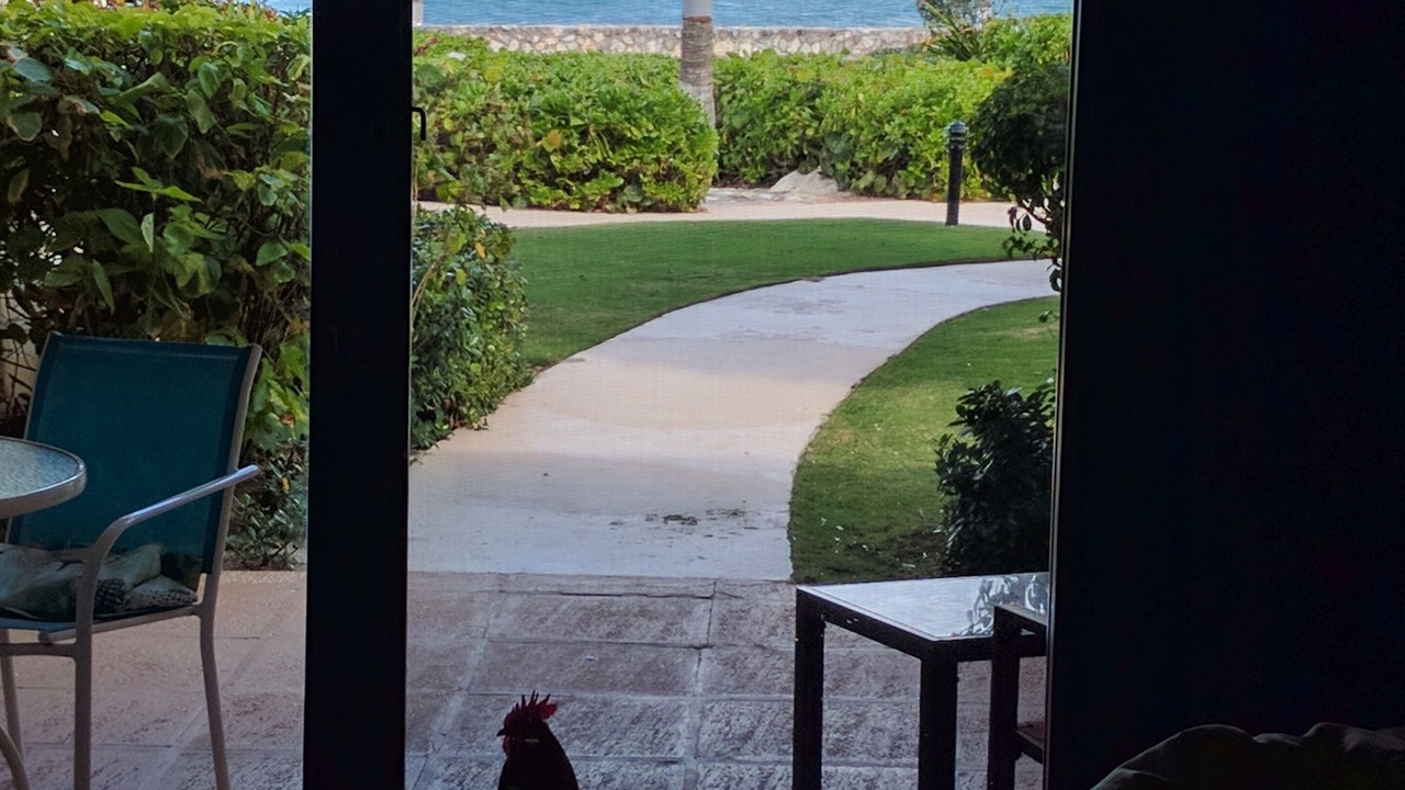 Photo of Others in West Bay