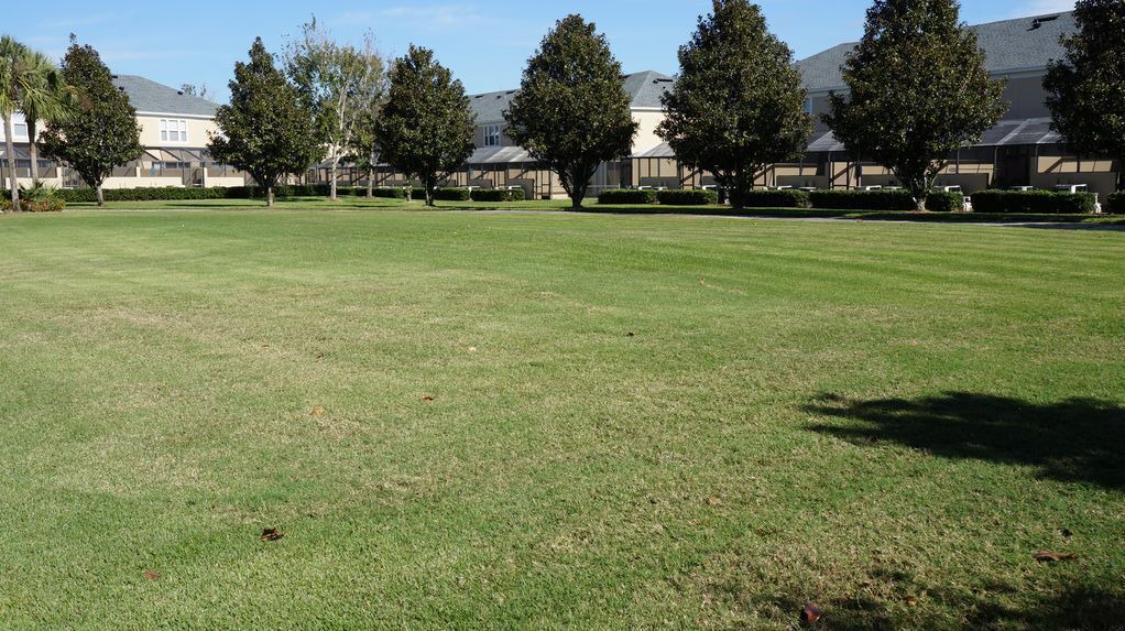 Photo of Outdoor in Windsor Hills