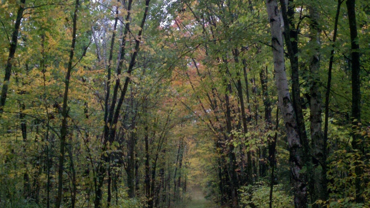 Photo of Outdoor in Finlayson