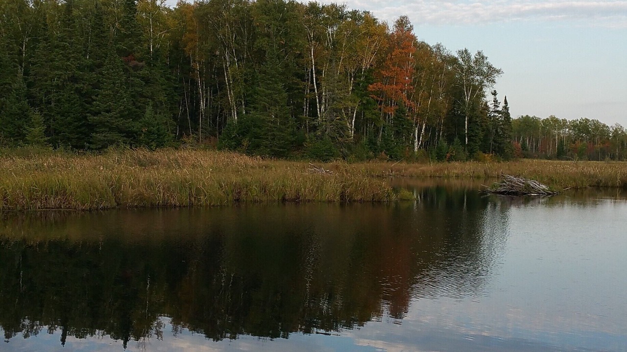Photo of Others in Finlayson
