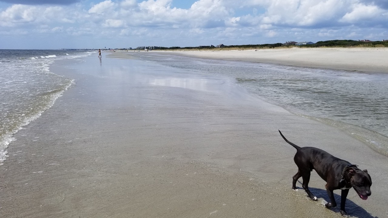 Photo of Others in Oak Island