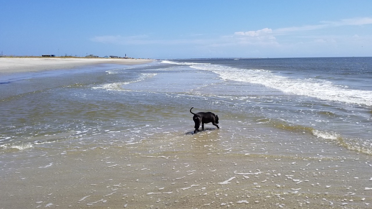 Photo of Others in Oak Island