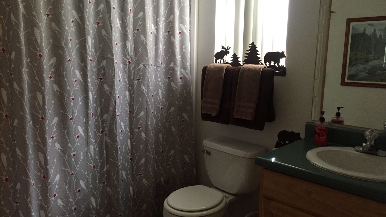 Photo of Bathroom in Pinetop