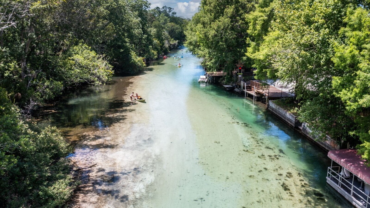 Photo of Others in Weeki Wachee Gardens