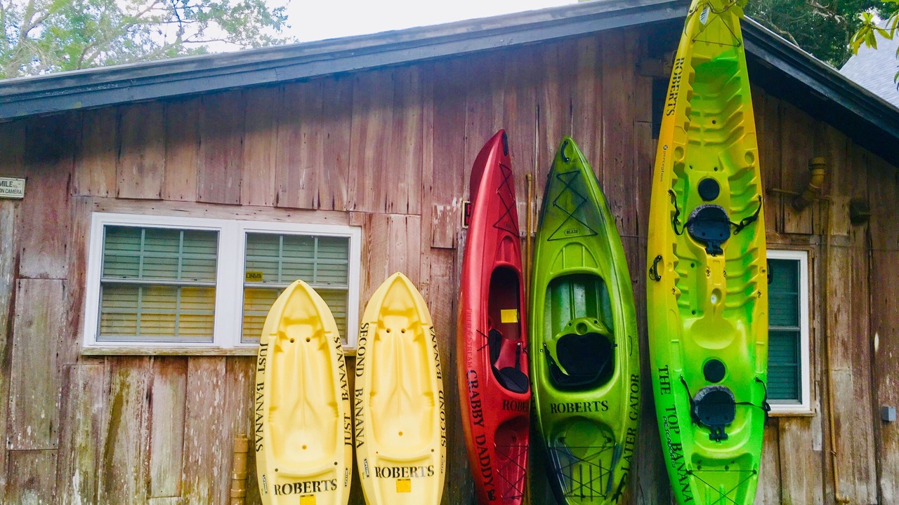 Photo of Others in Weeki Wachee Gardens