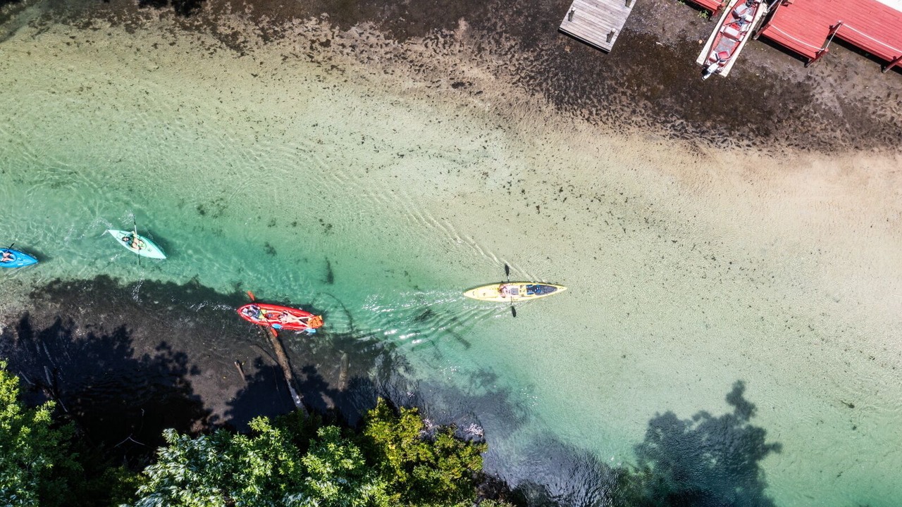 Photo of Outdoor in Weeki Wachee Gardens