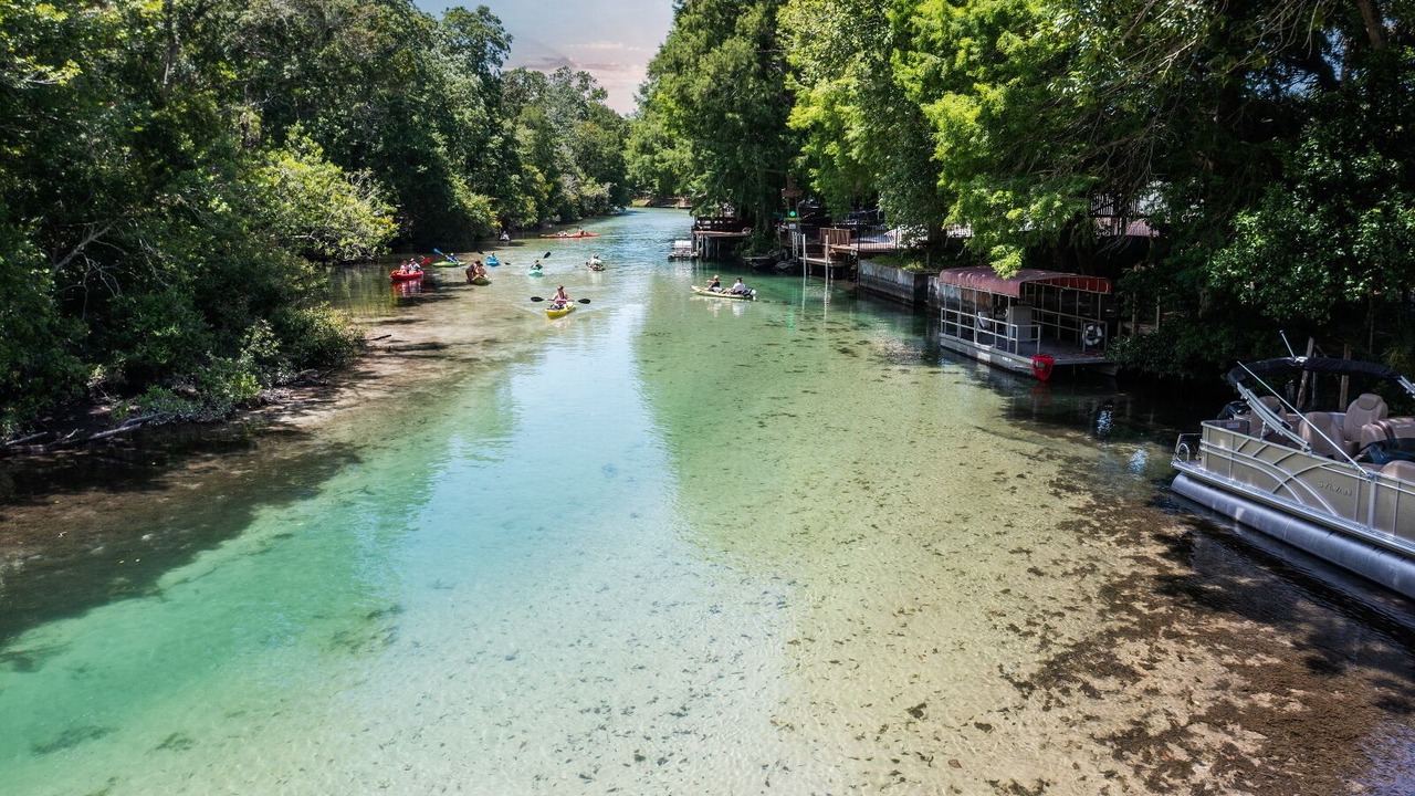 Photo of Others in Weeki Wachee Gardens