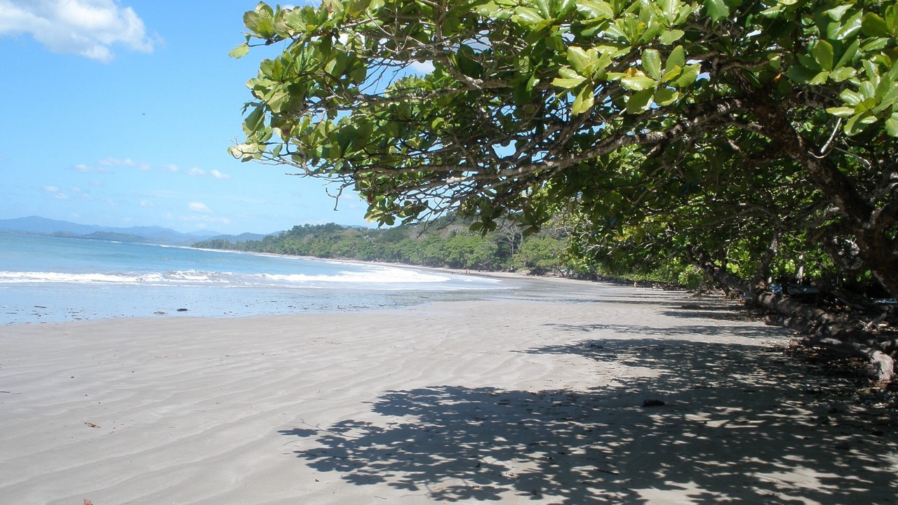 Photo of Others in Cabuya