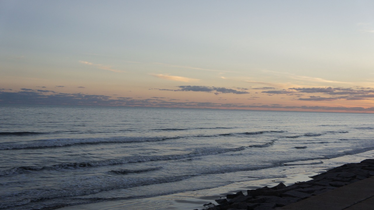 Photo of Others in Galveston