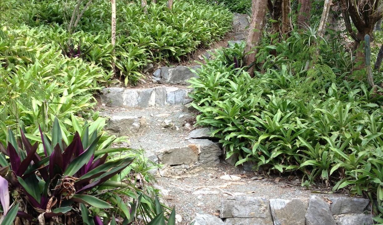 Photo of Outdoor in West End