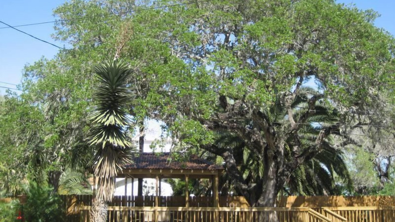 Photo of Outdoor in Fulton