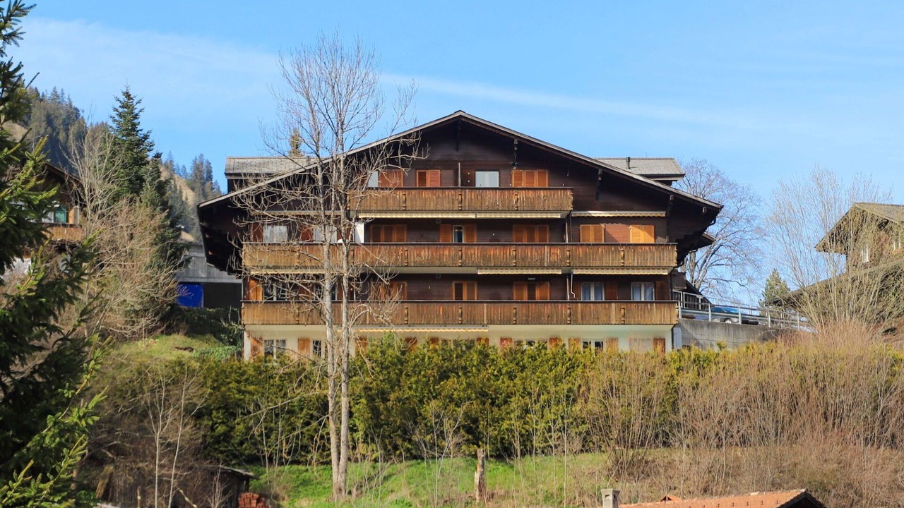 Photo of Others in Zweisimmen