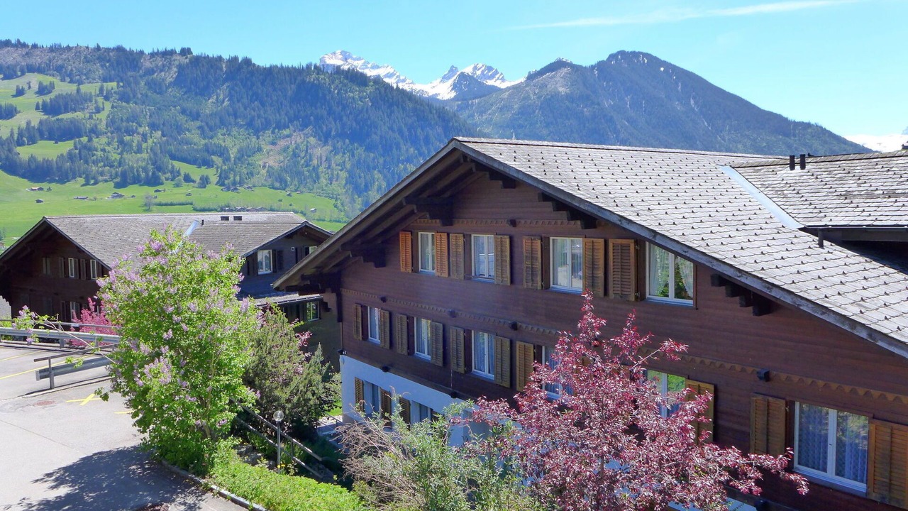 Photo of Others in Zweisimmen