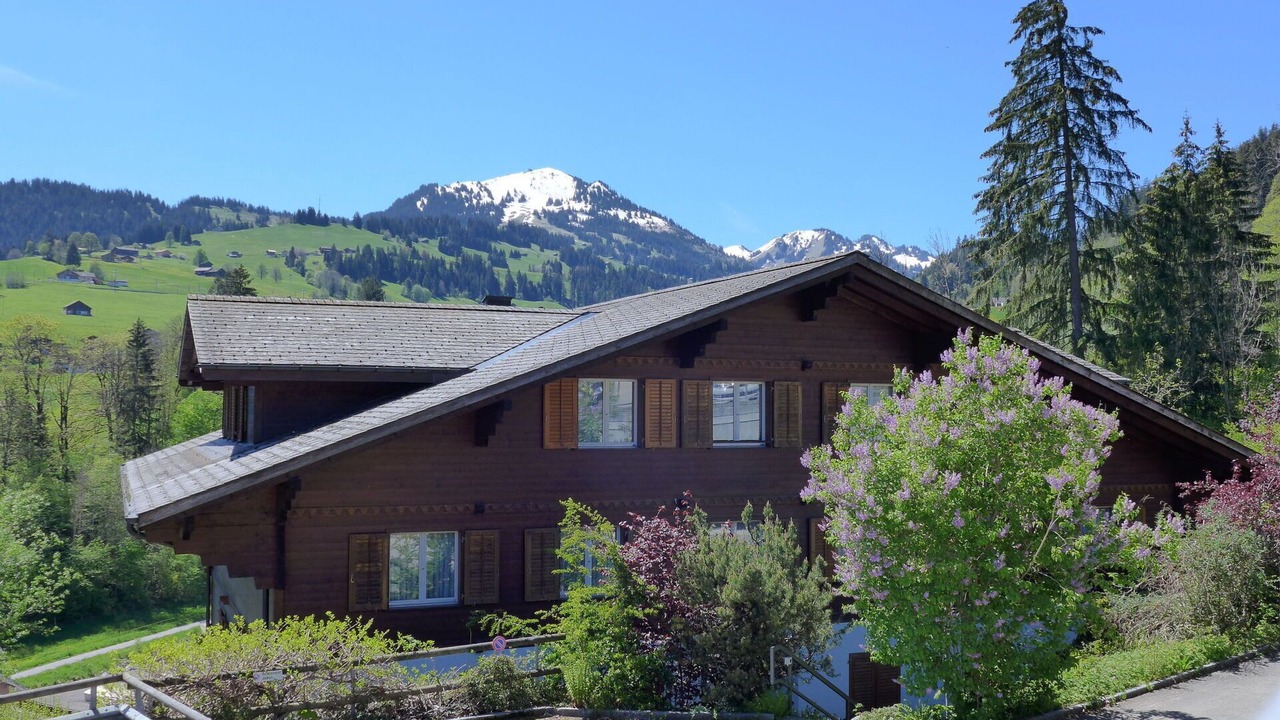 Photo of Others in Zweisimmen