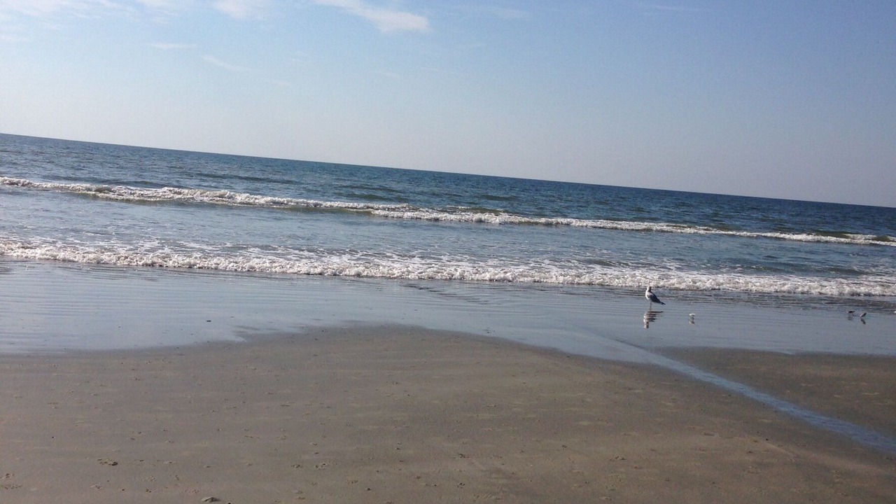 Photo of Others in North Myrtle Beach