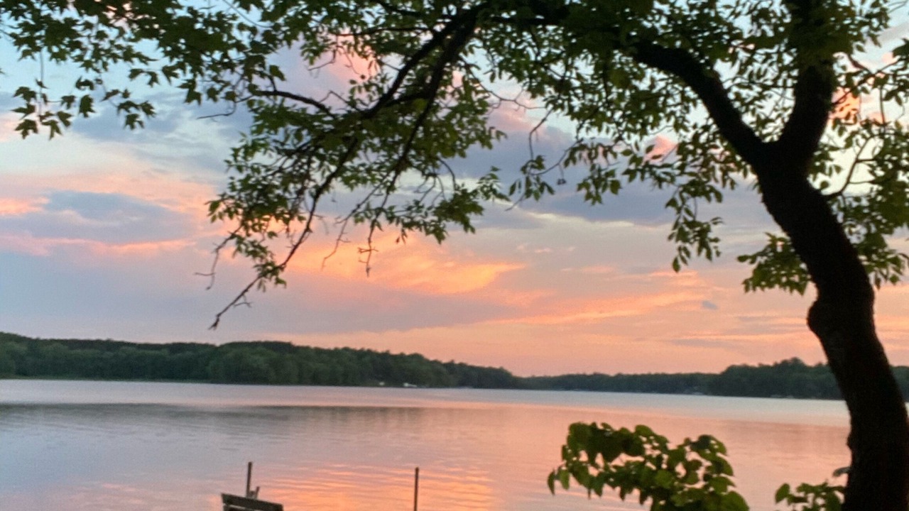 Photo of Others in Moose Lake