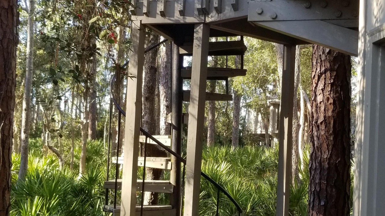 Photo of Others in Sea Pines