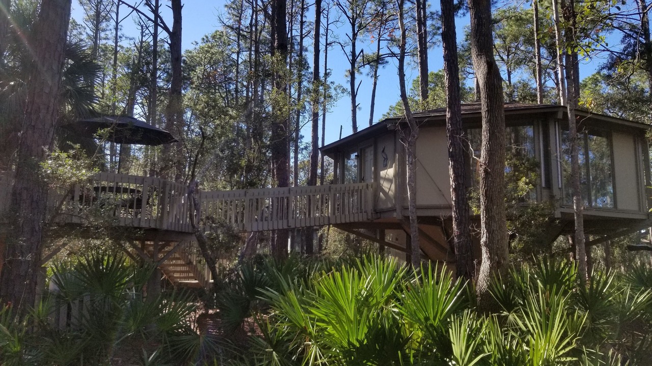 Photo of Others in Sea Pines