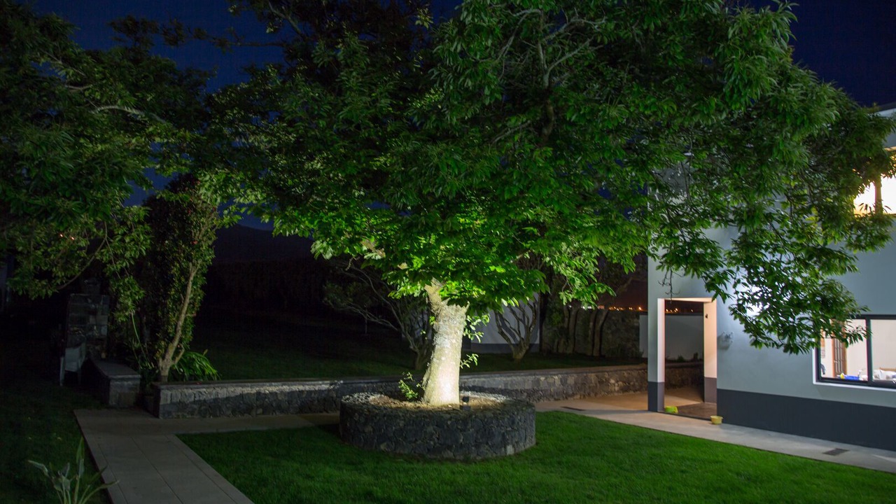 Photo of Outdoor in Ribeira Grande