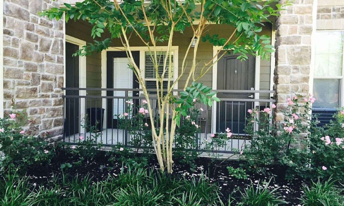 Photo of Outdoor in Grogan's Mill