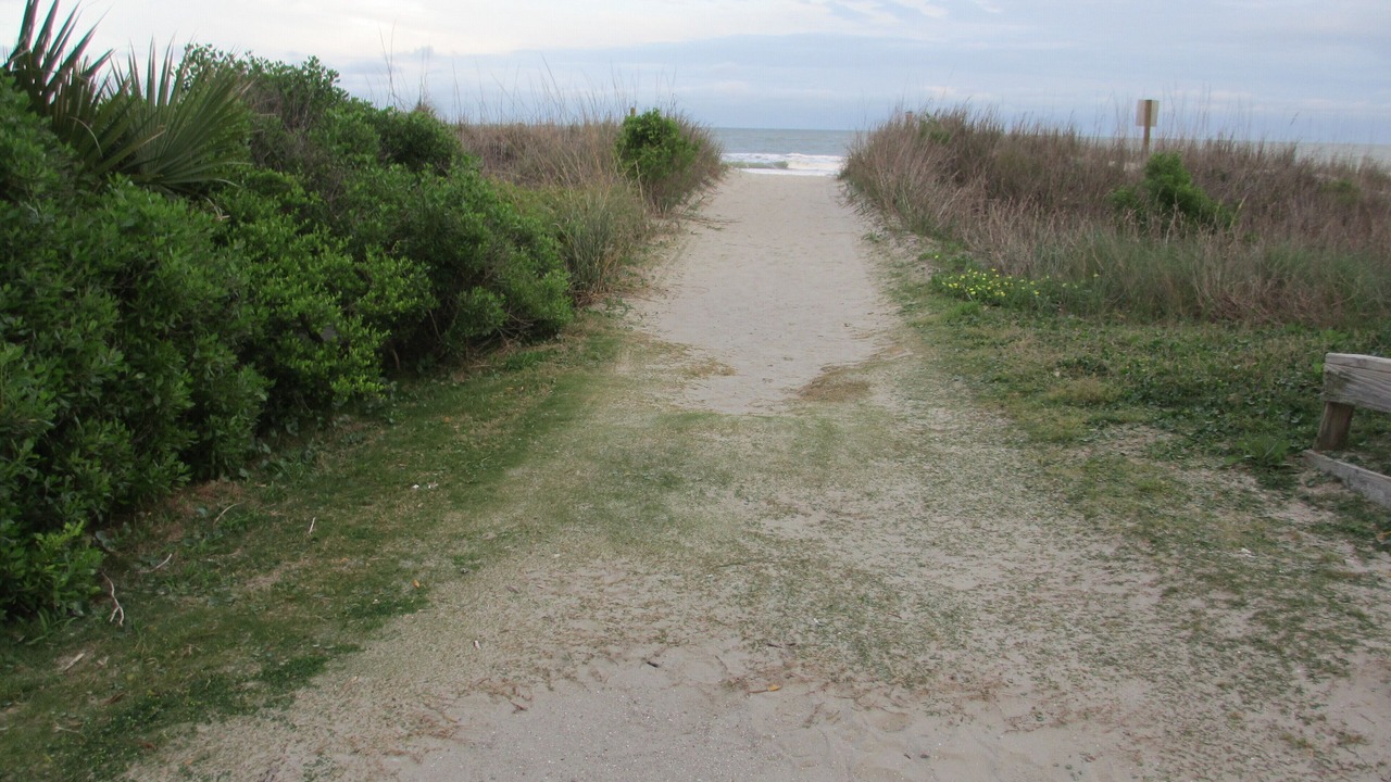 Photo of Others in Crescent Beach