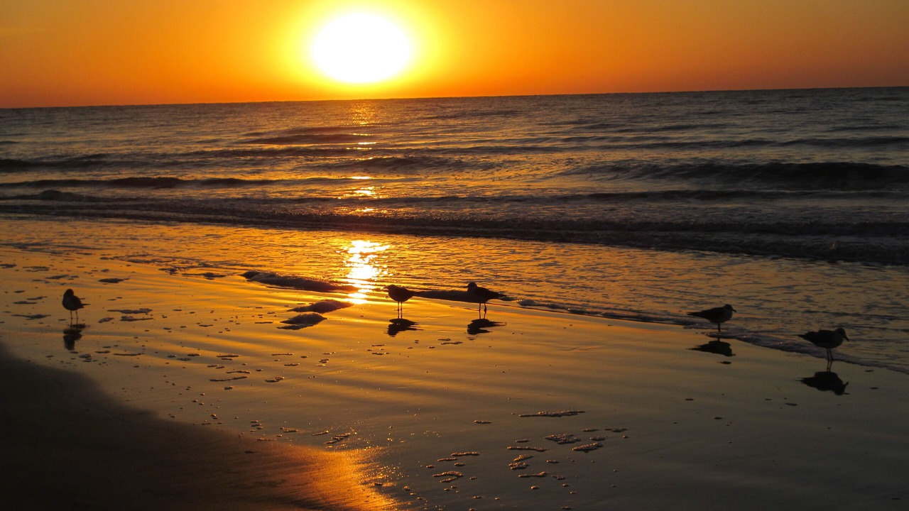 Photo of Others in Crescent Beach