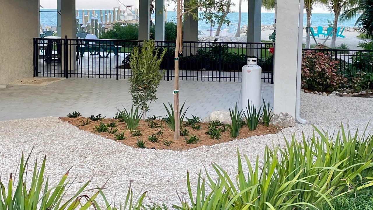 Photo of Outdoor in Islamorada