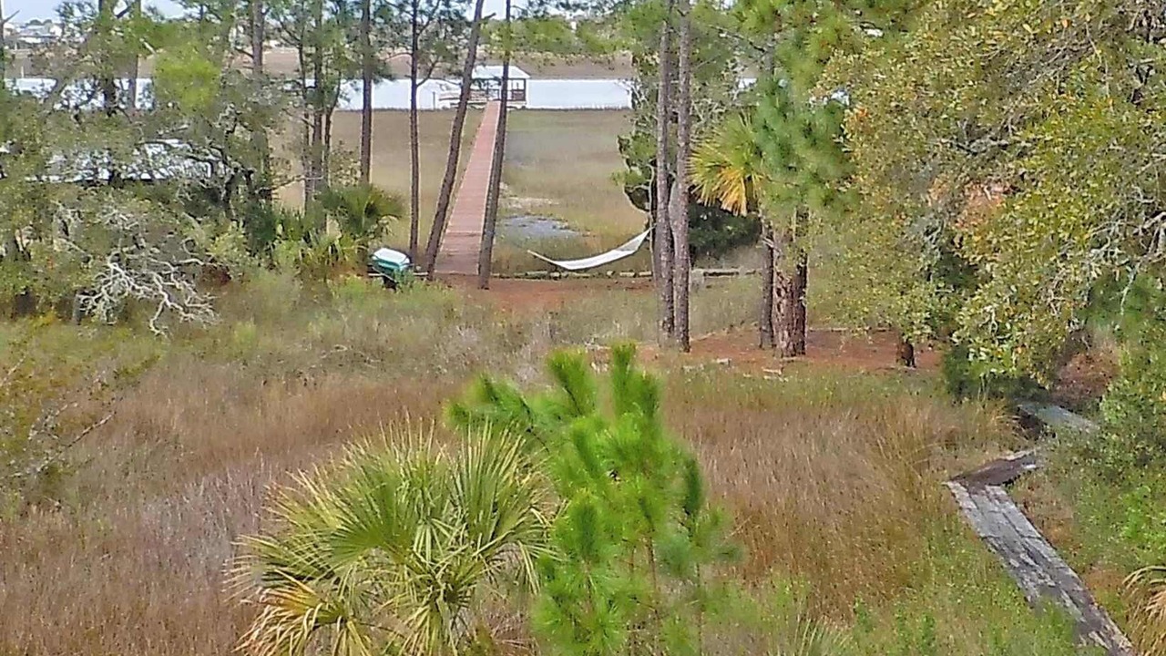 Photo of Outdoor in Folly Beach