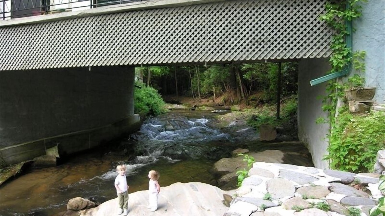 Photo of Others in Ellijay