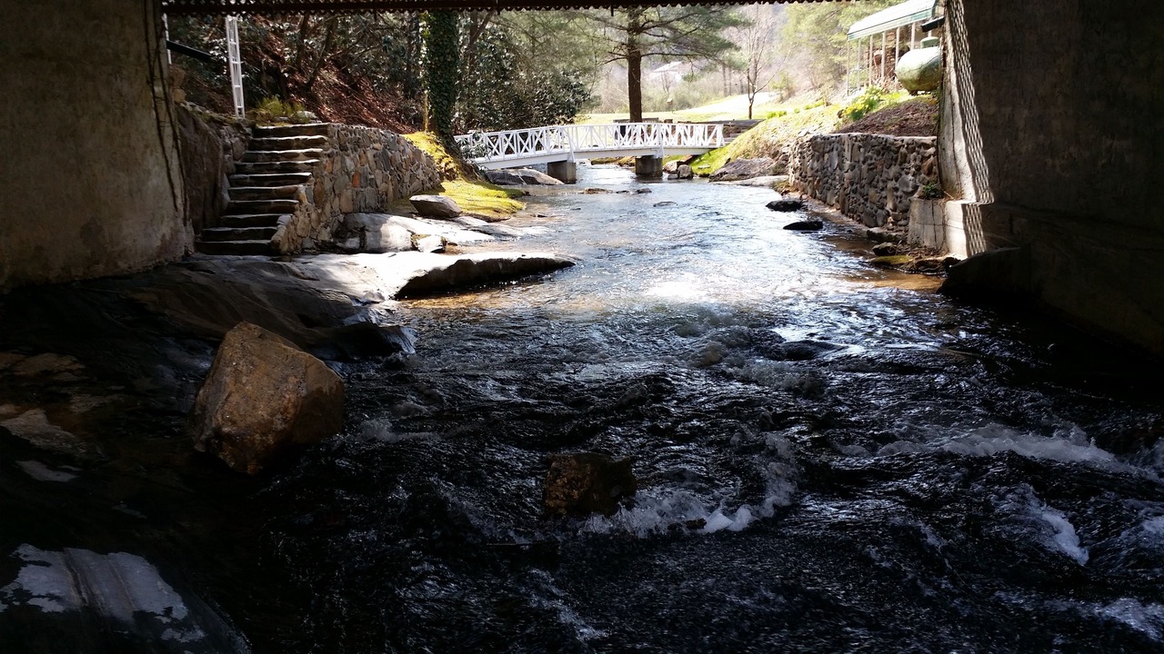 Photo of Outdoor in Ellijay