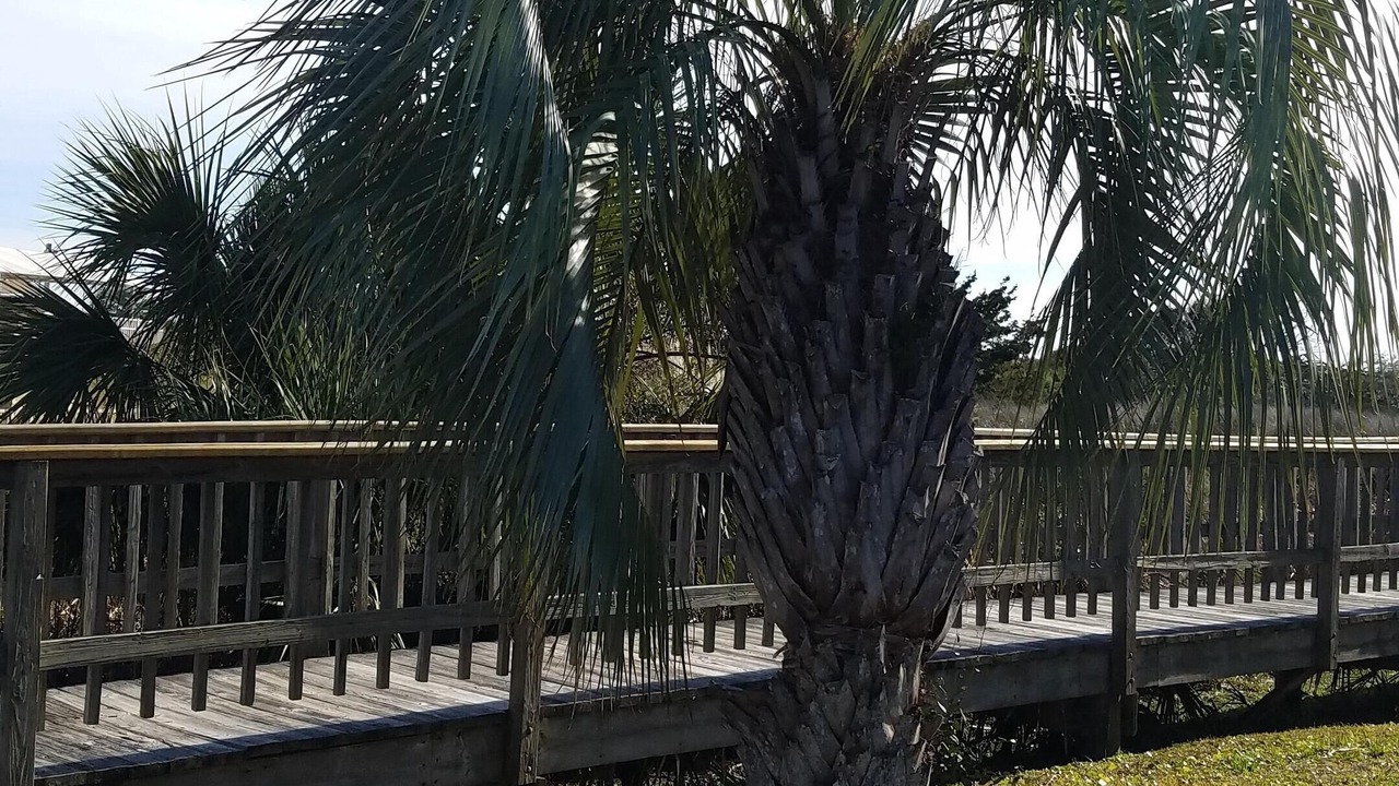 Photo of Others in Folly Field