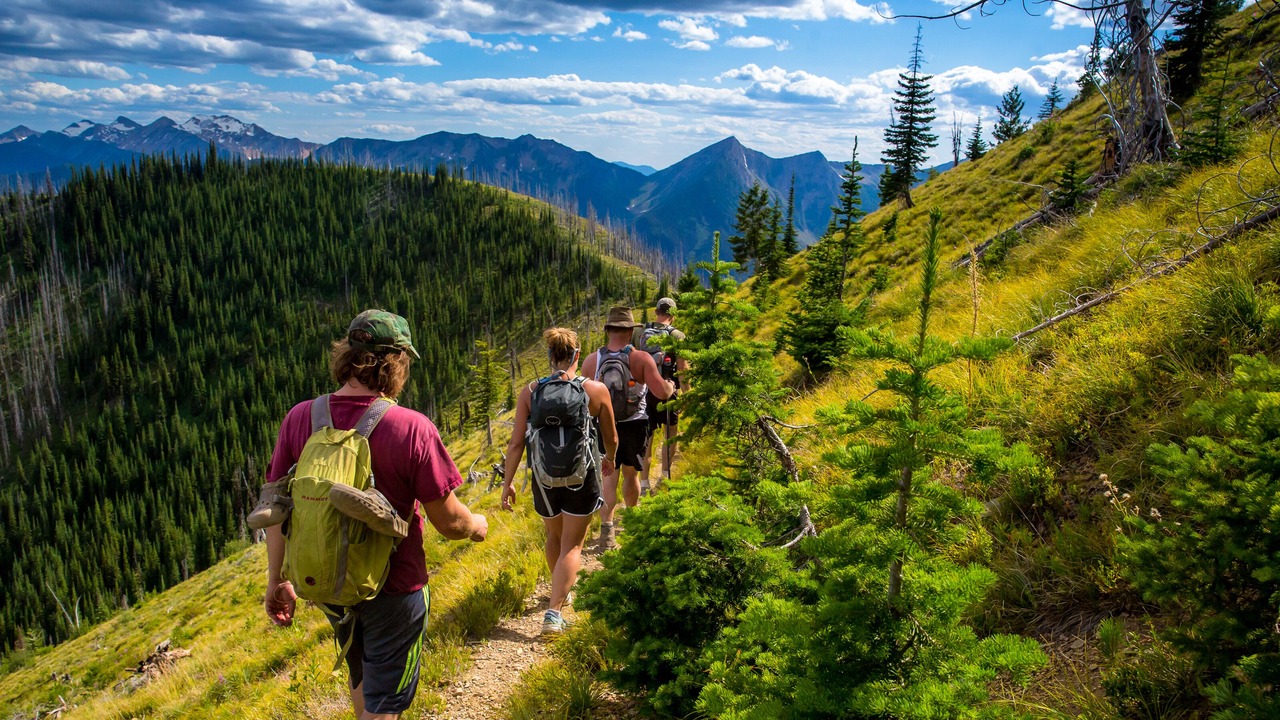 Photo of Others in Evergreen