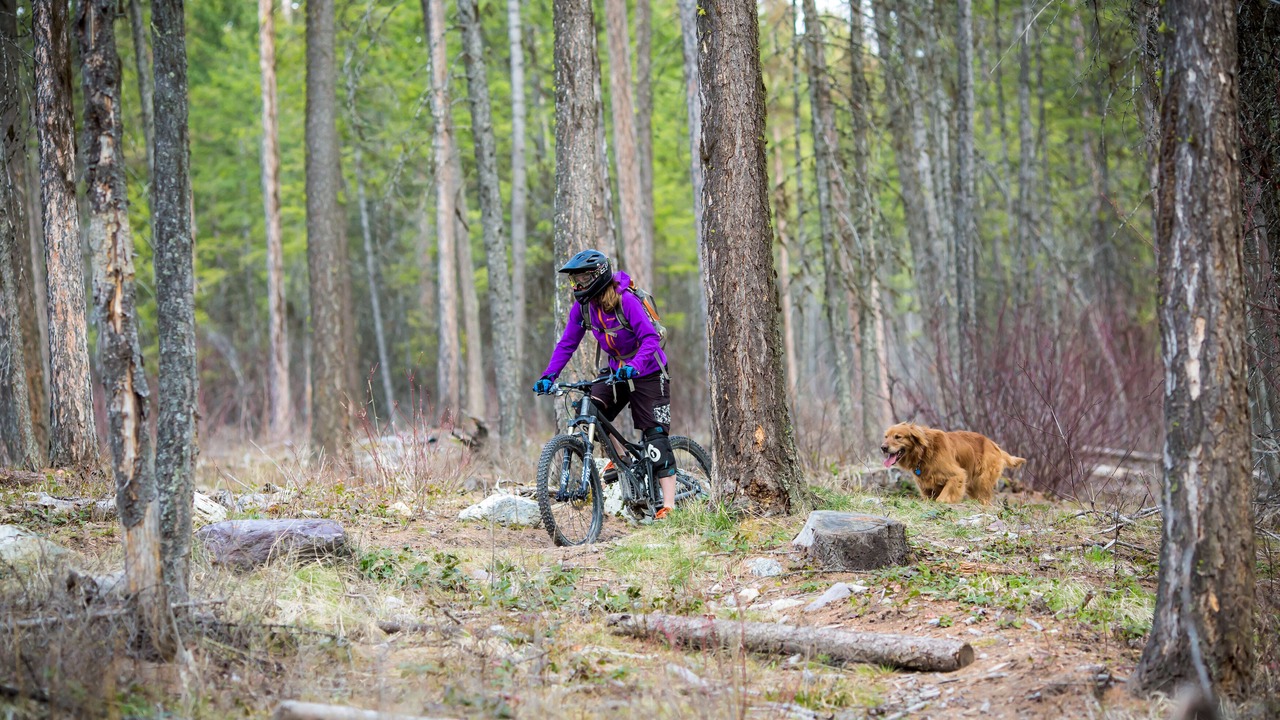 Photo of Outdoor in Evergreen