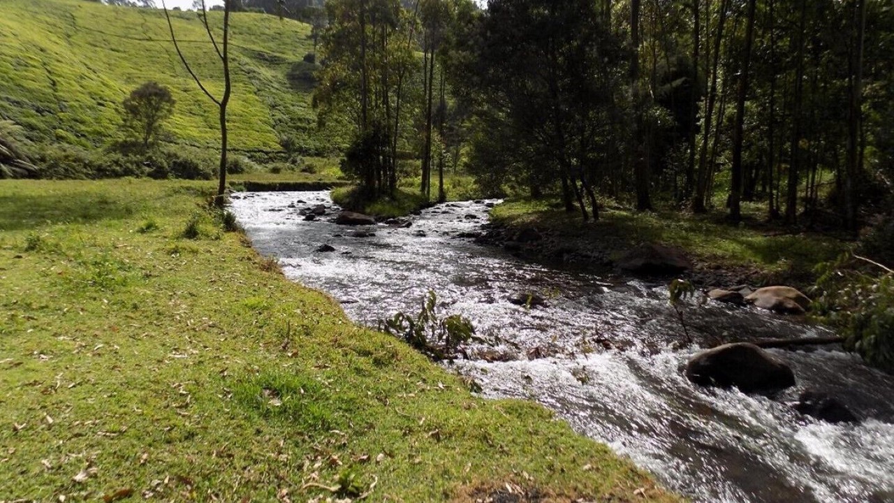 Photo of Outdoor in Kiamuturi