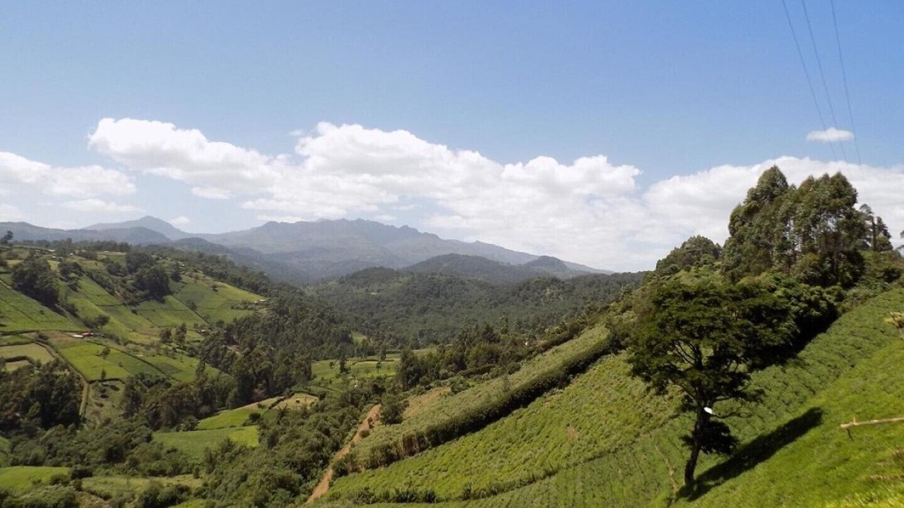 Photo of Outdoor in Kiamuturi