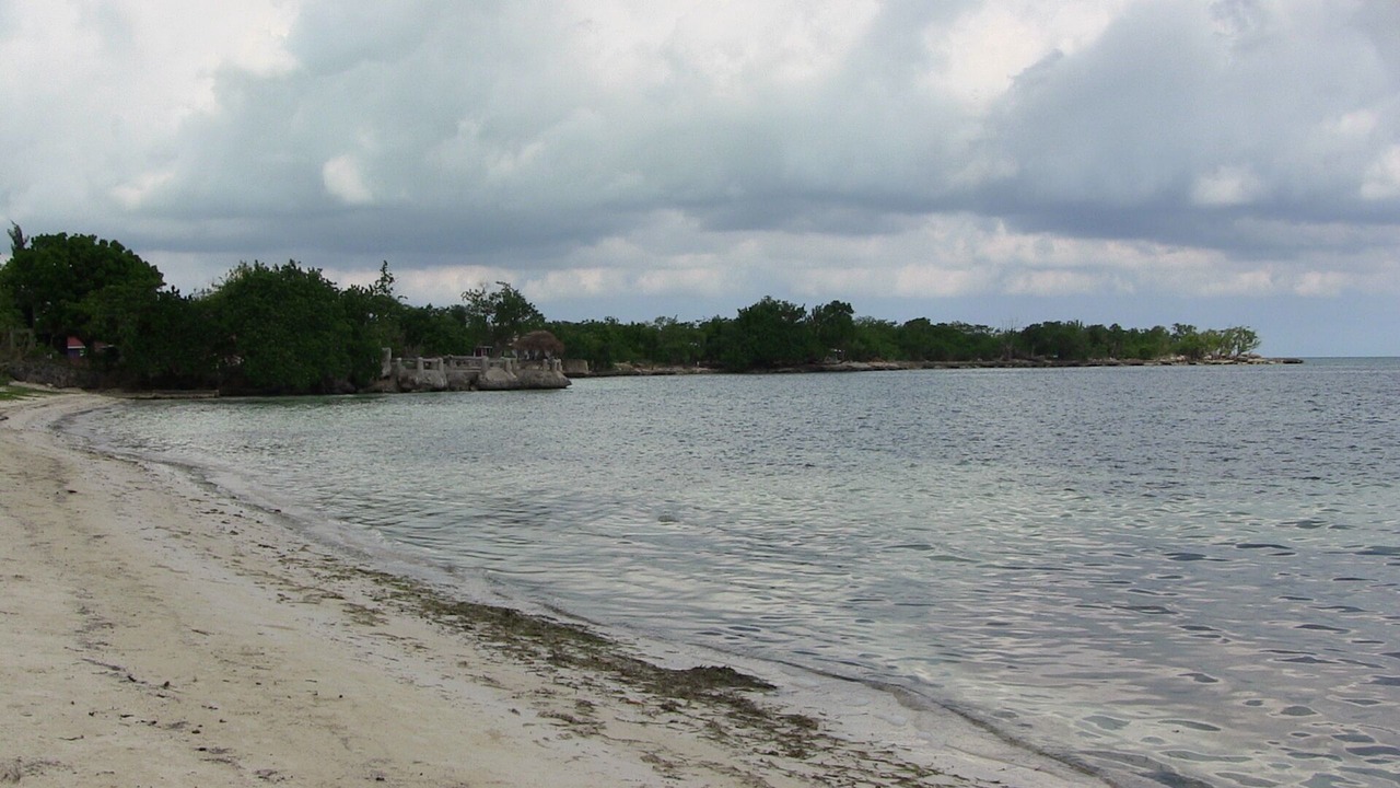 Photo of Others in Little Bay