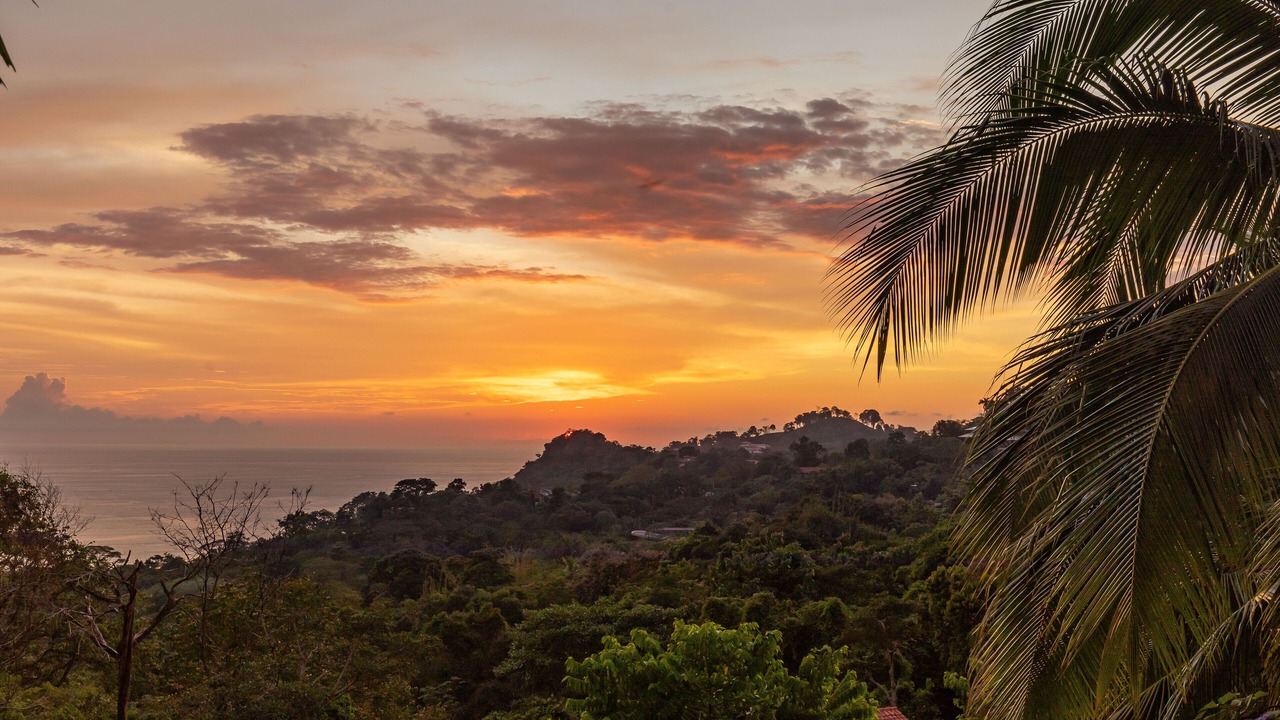 Photo of Others in Manuel Antonio