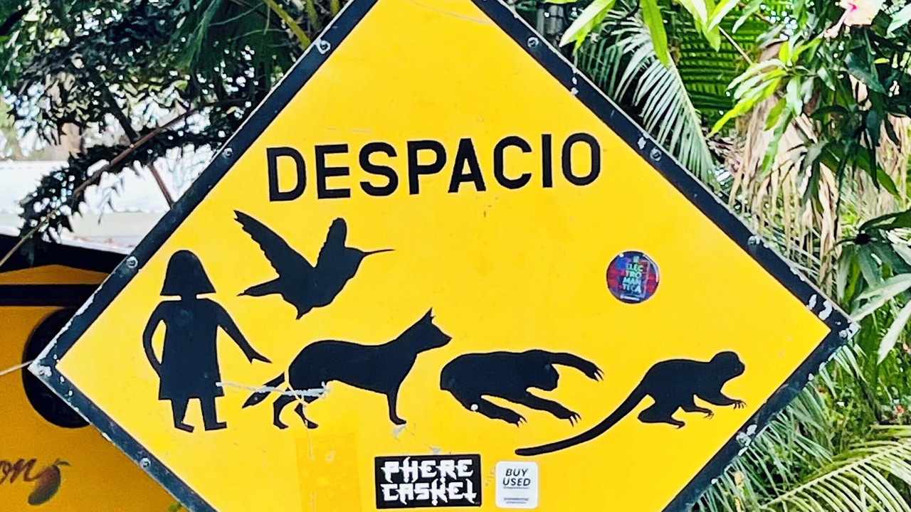 Photo of Outdoor in Manuel Antonio