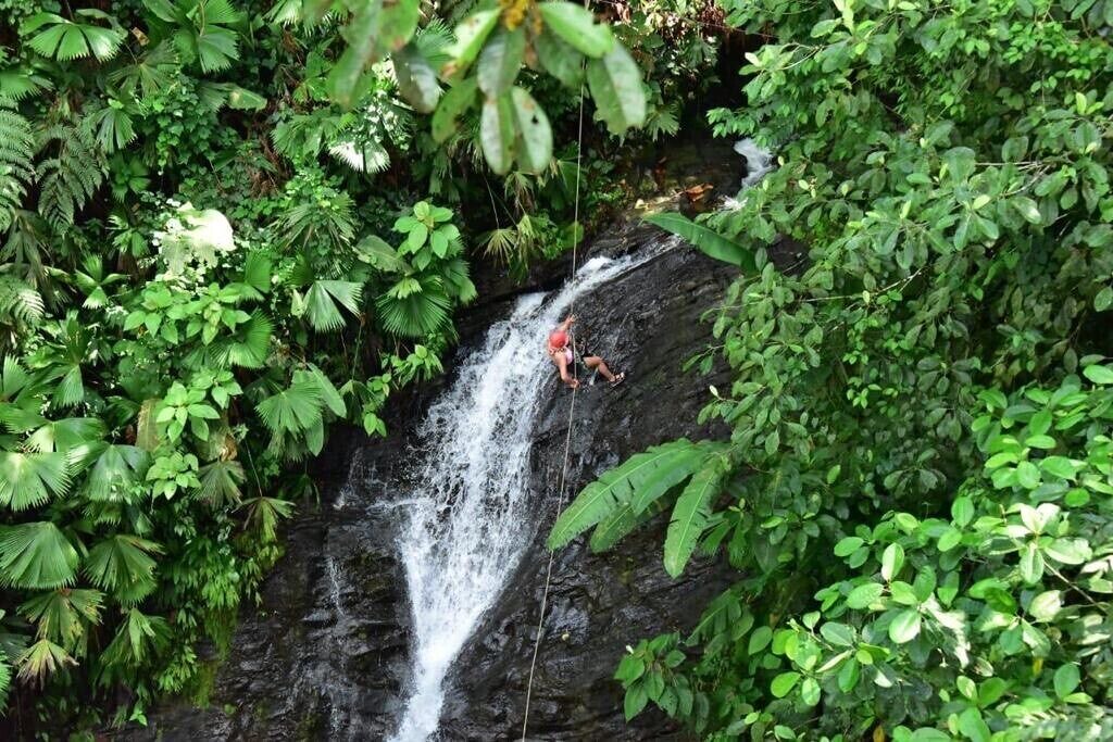 Photo of Outdoor in Manuel Antonio