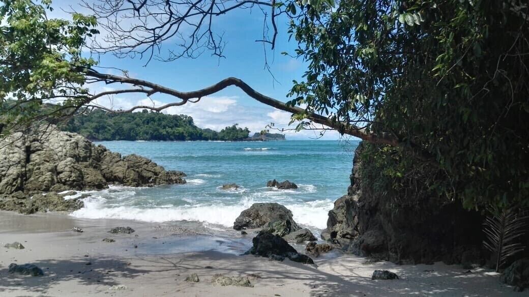 Photo of Others in Manuel Antonio