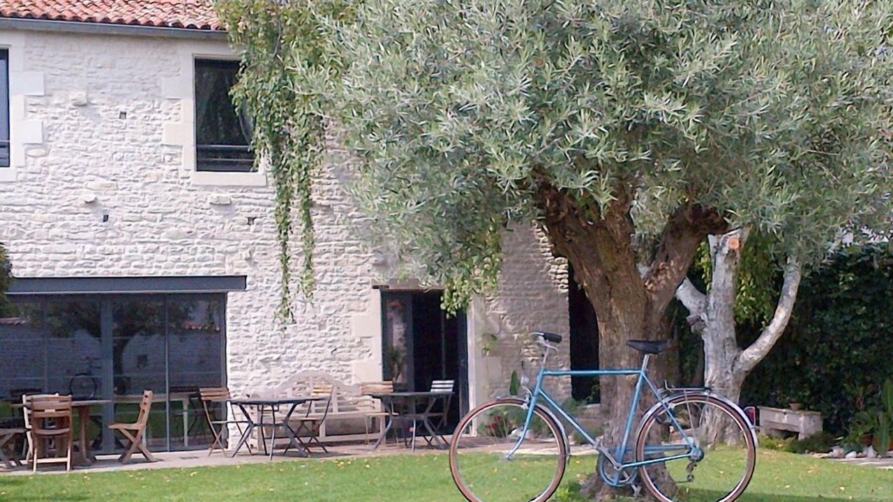 Photo of Outdoor in Marsilly