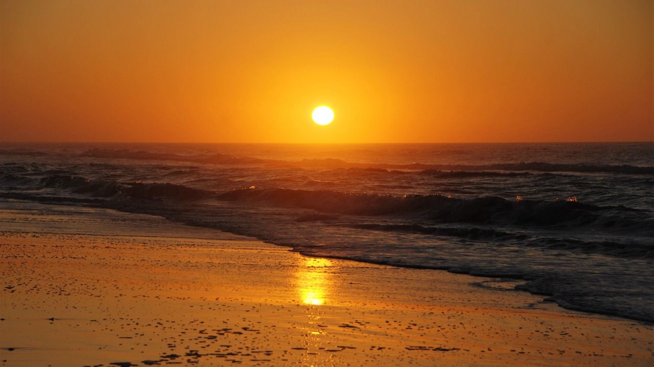 Photo of Others in Ocean City Beach