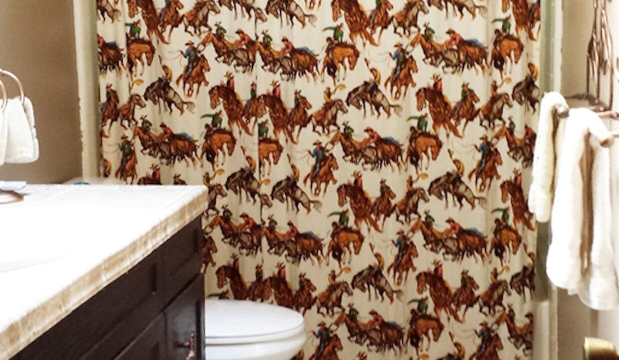 Photo of Bathroom in Paicines