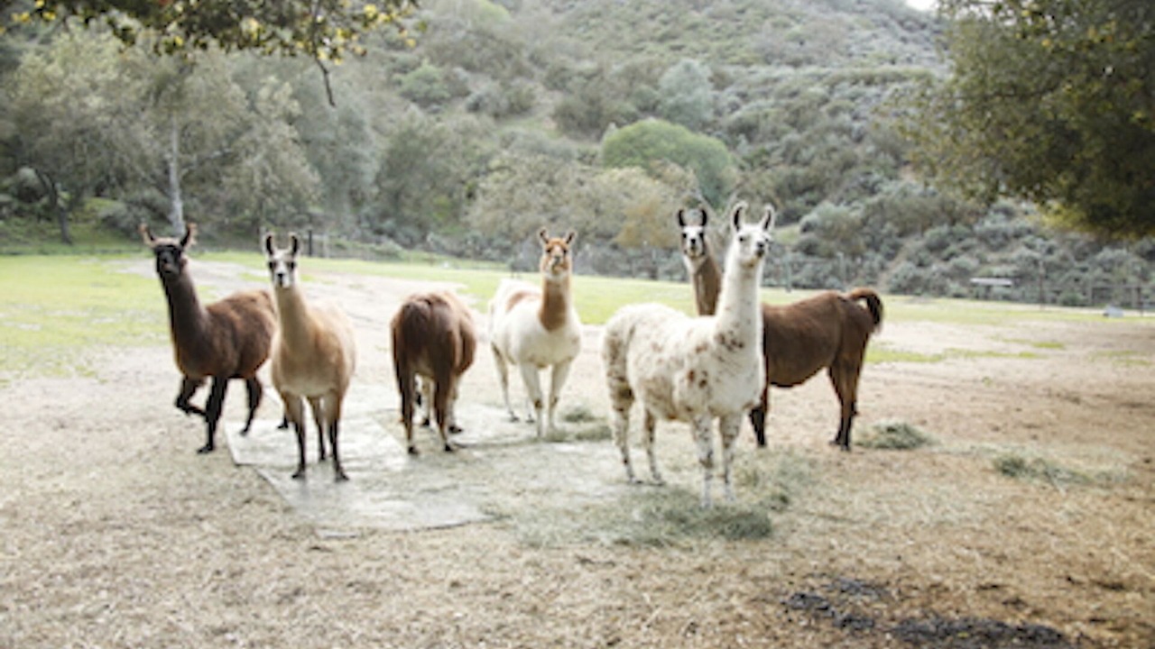 Photo of Others in Paicines
